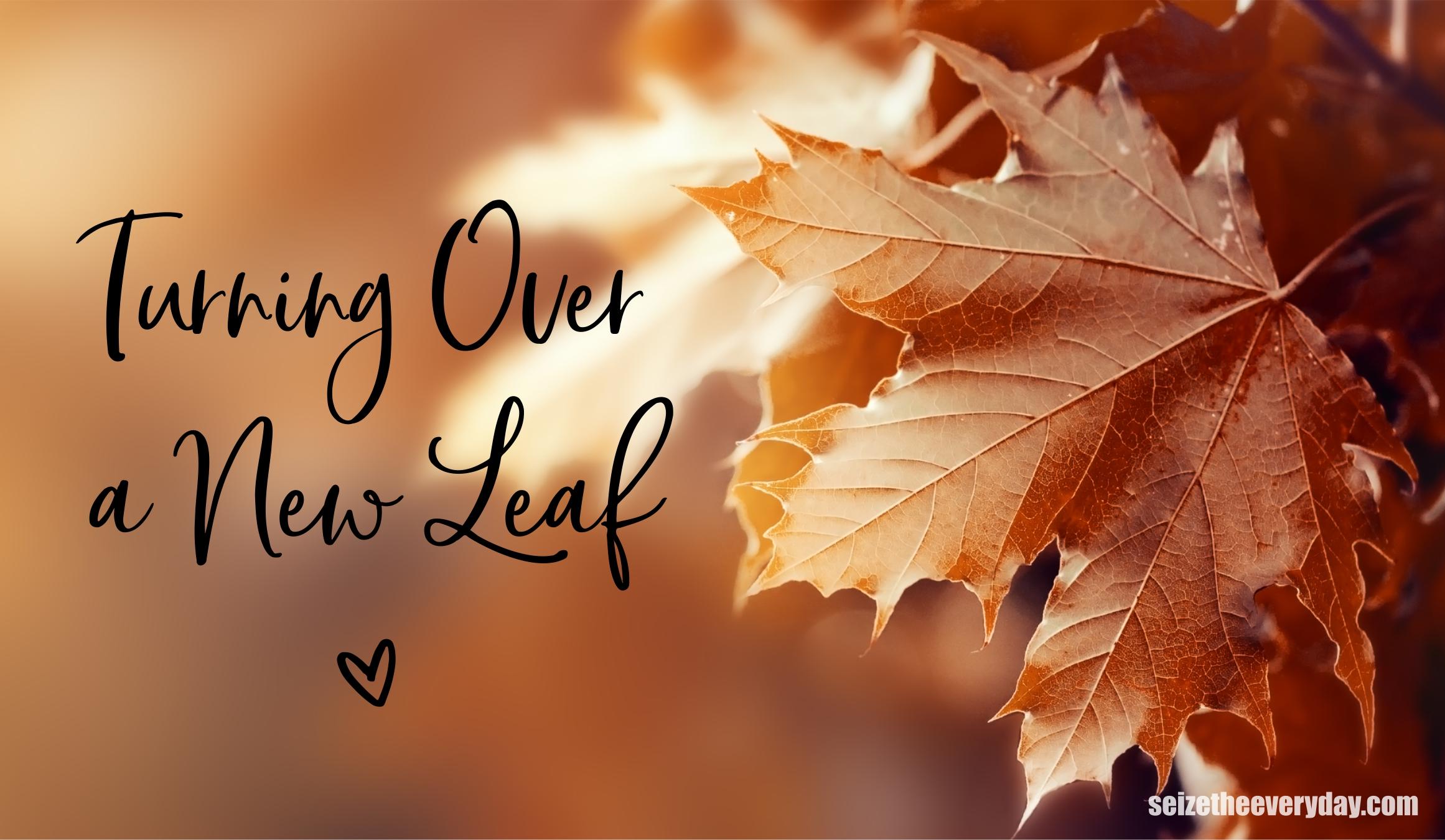 Turning Over a New Leaf – Seize the EveryDay